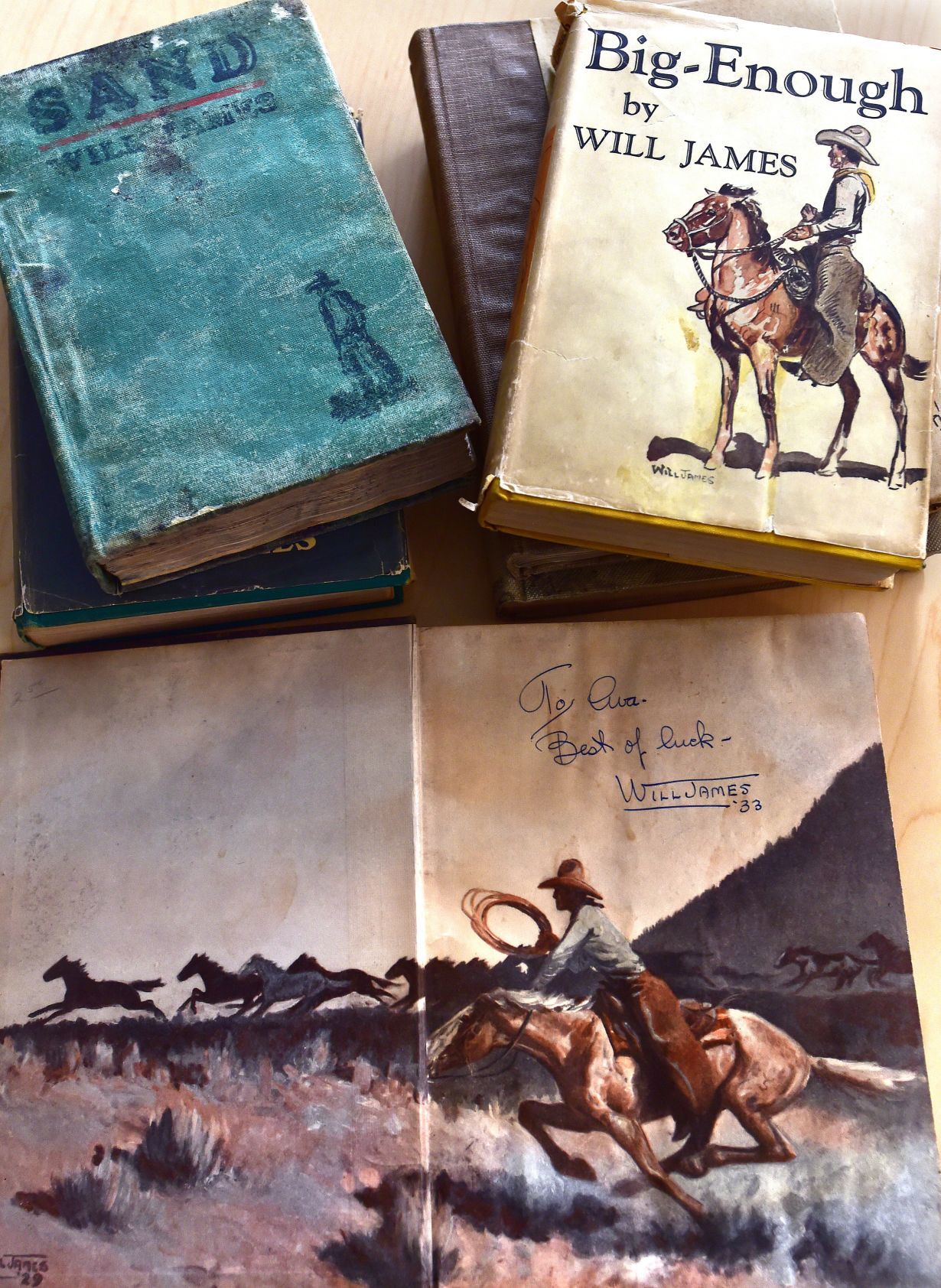 Will James books